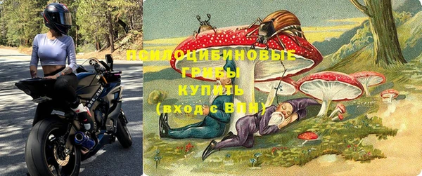 a pvp Козловка