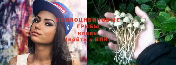 гидра Осинники