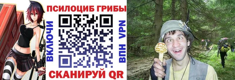 блэк спрут вход  купить закладку  Мелеуз  Псилоцибиновые грибы мухоморы 